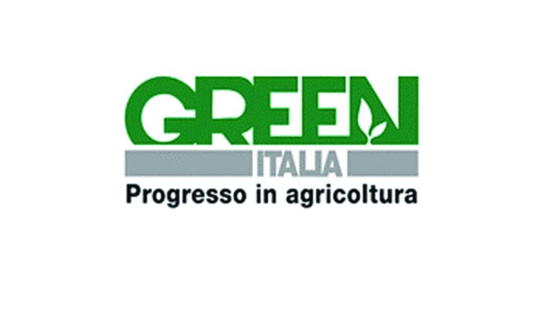 p4.jpg
